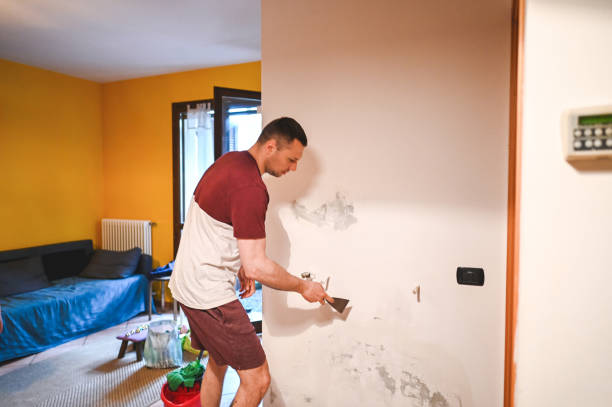 Best Mold Remediation for Specific Building Types in Palm City, FL